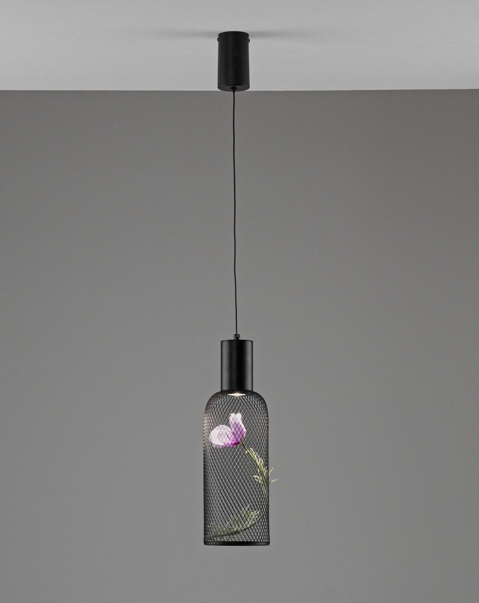 Подвесной светильник Moderli Ophelia V11873-PL в #REGION_NAME_DECLINE_PP#