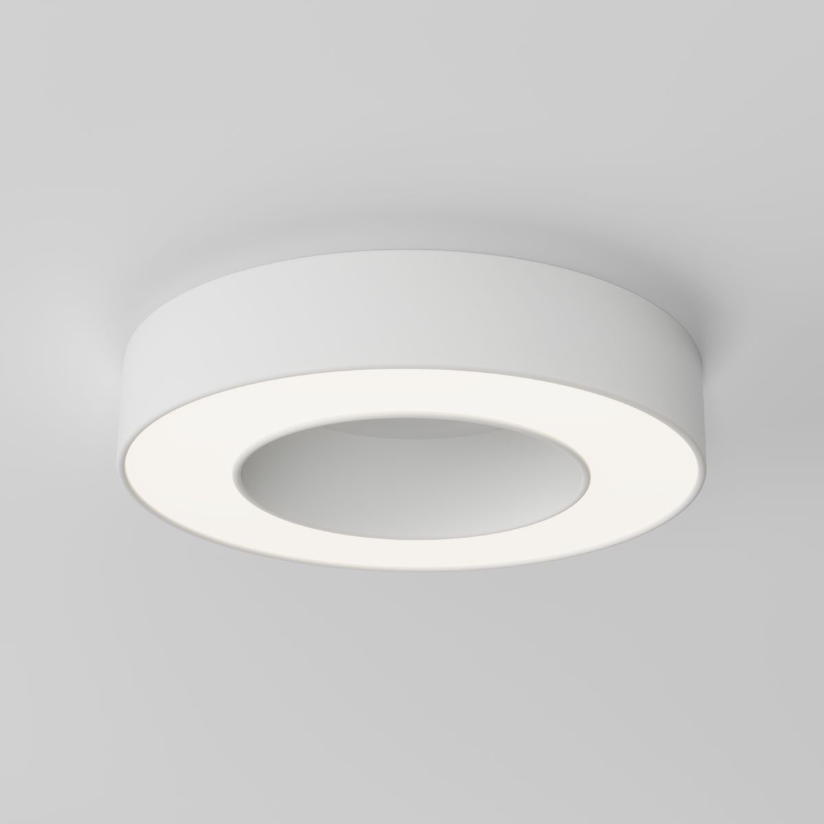 Потолочный светильник Maytoni Technical Lua C093CL-24W4K-W в Санкт-Петербурге