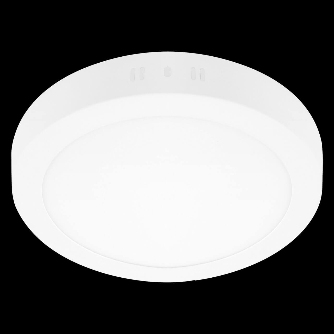 Потолочный светодиодный светильник Lightstar Zocco 323184 в Санкт-Петербурге