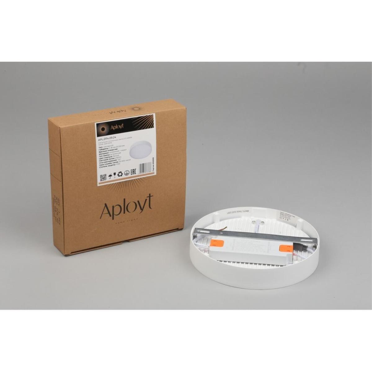 Потолочный светильник Aployt Evon APL.0114.09.24 в Санкт-Петербурге