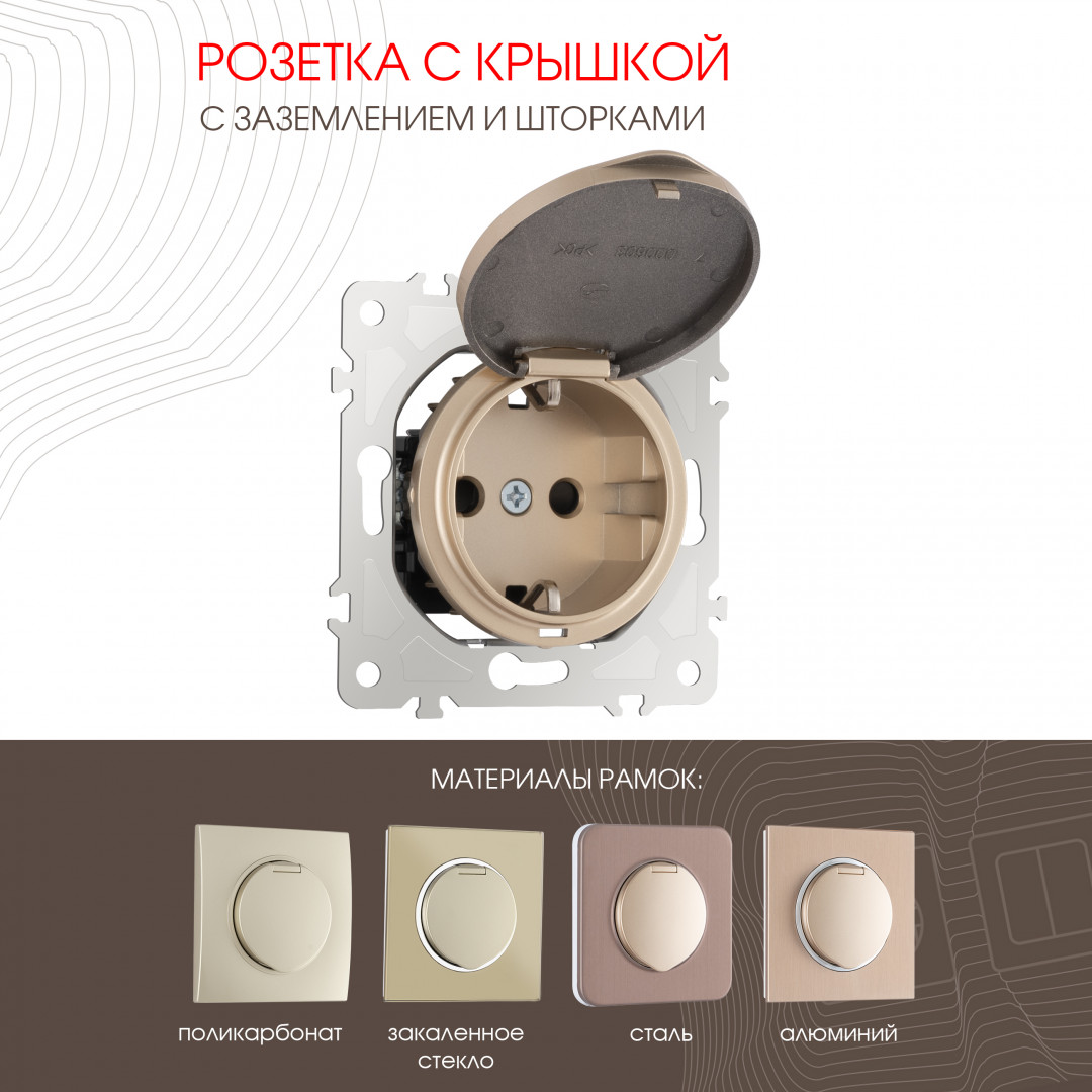 Розетка с заземлением, шторками и защитной крышкой Arte Milano 202.41-1.shampan в Санкт-Петербурге