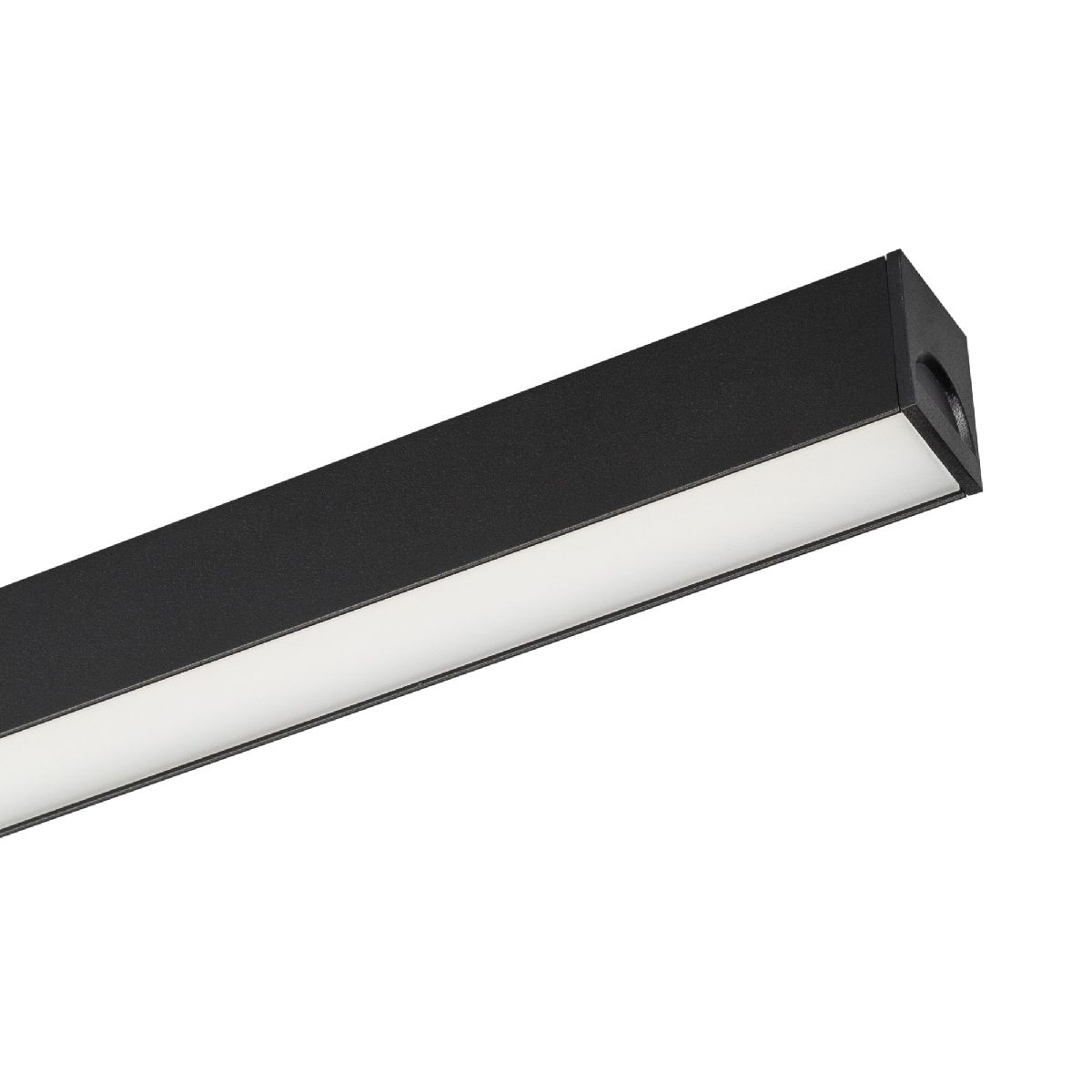 Трековый магнитный светильник Arlight MAG-FLAT-25-L600-18W Warm3000 (BK, 100 deg, 24V, DALI) 046335 в Санкт-Петербурге