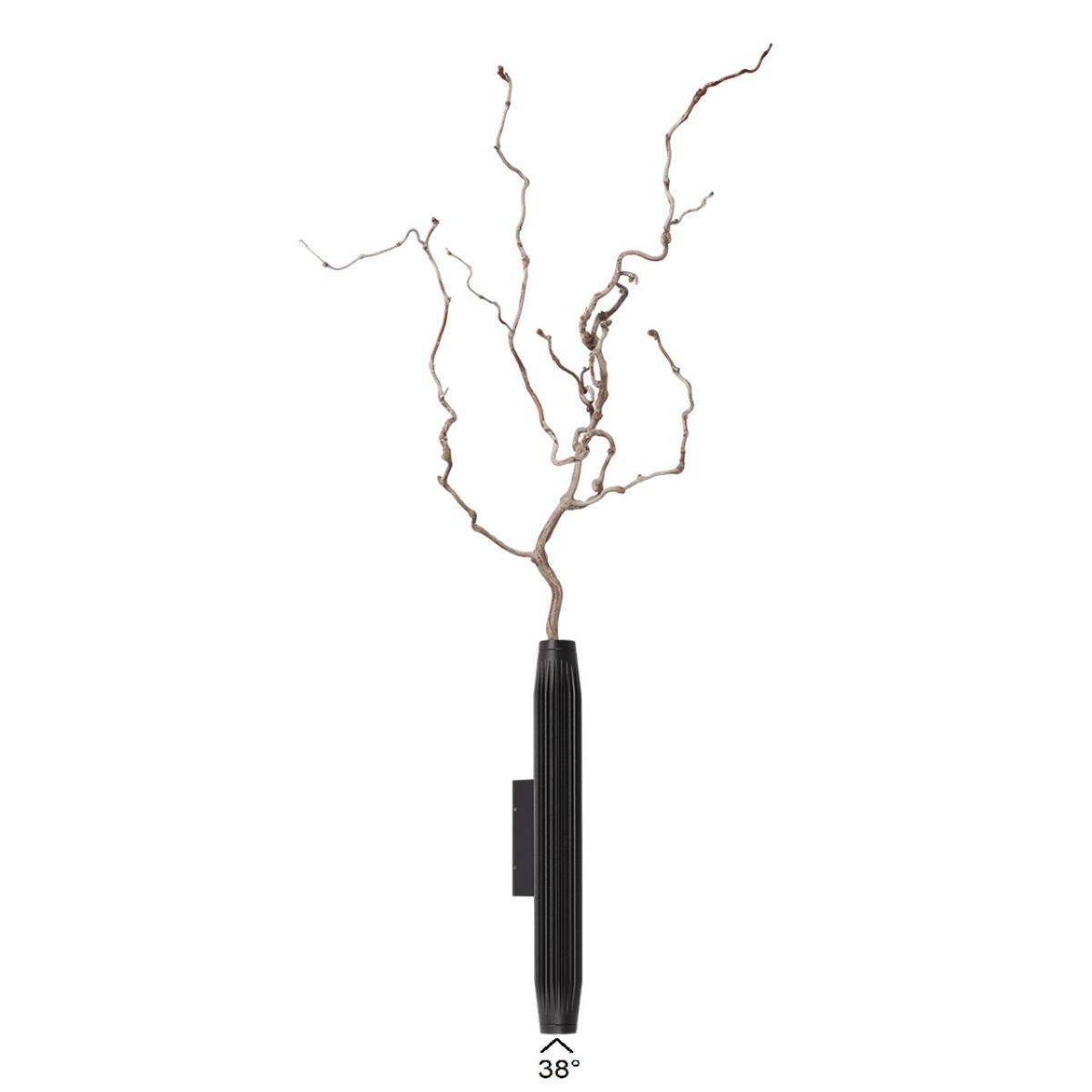 Уличный настенный светильник Odeon Light Nature Jug 7141/6WLA в Санкт-Петербурге