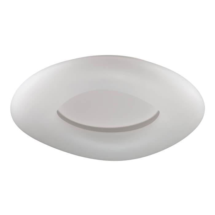 Потолочный светодиодный светильник Odeon Light Aura 4064/80CL в Санкт-Петербурге