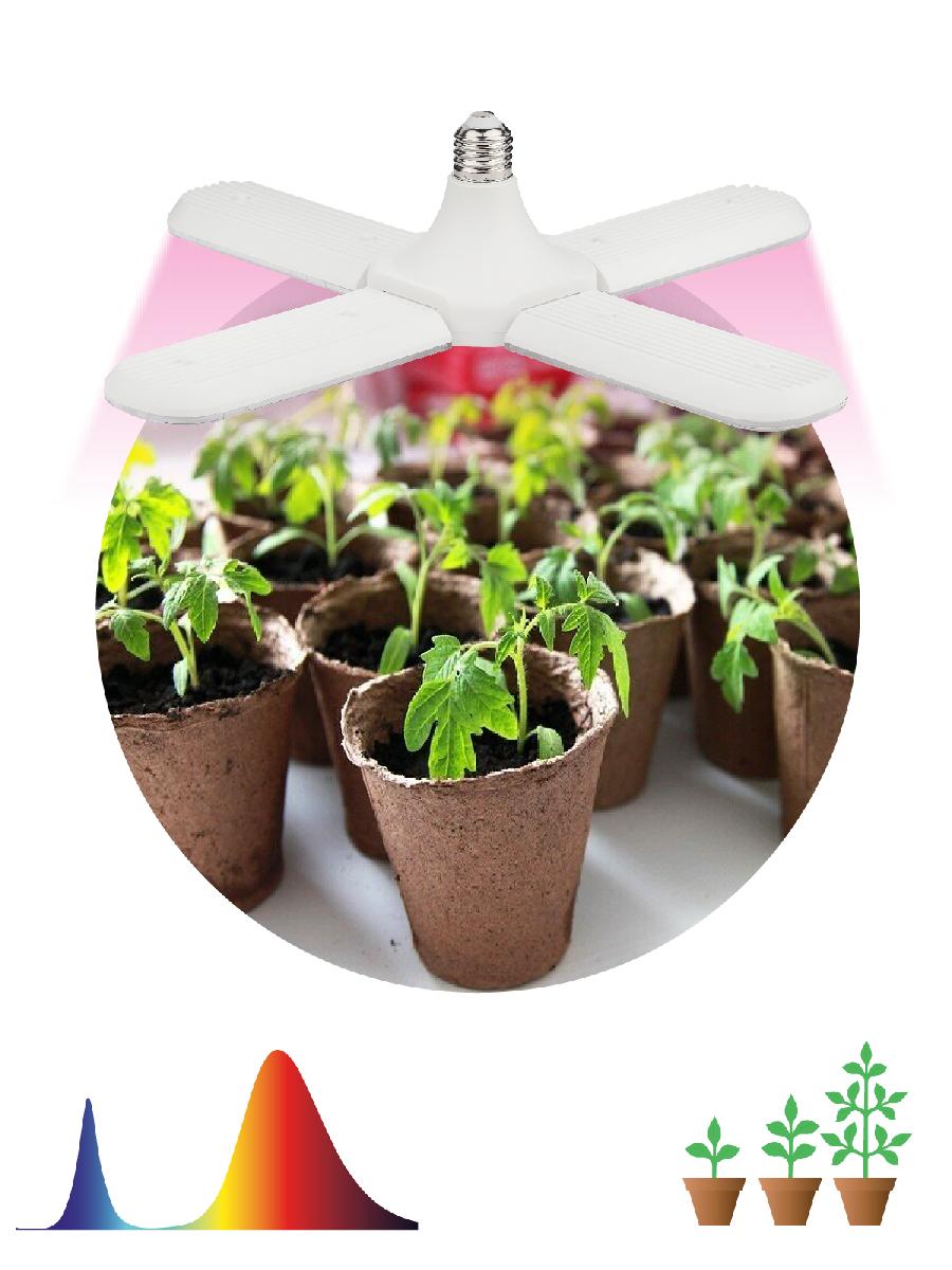 Светильник для растений Эра FITO-36W-RB-E27-FOLD Б0053289 в Санкт-Петербурге