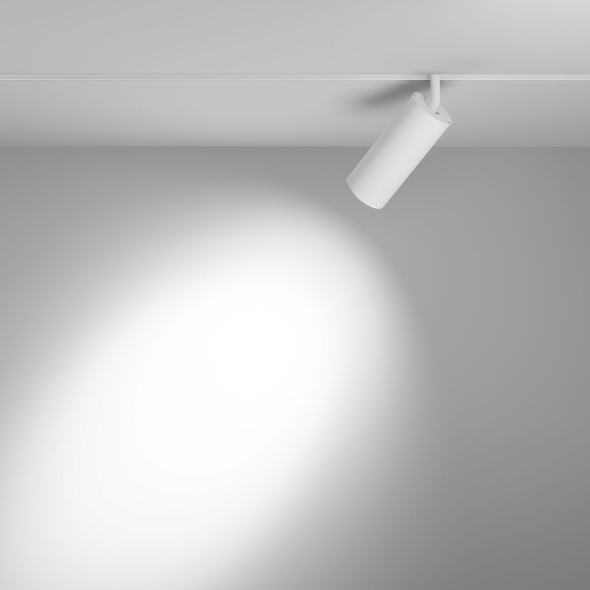 Трековый магнитный светильник Maytoni Focus LED TR032-2-20W3K-S-W в Санкт-Петербурге