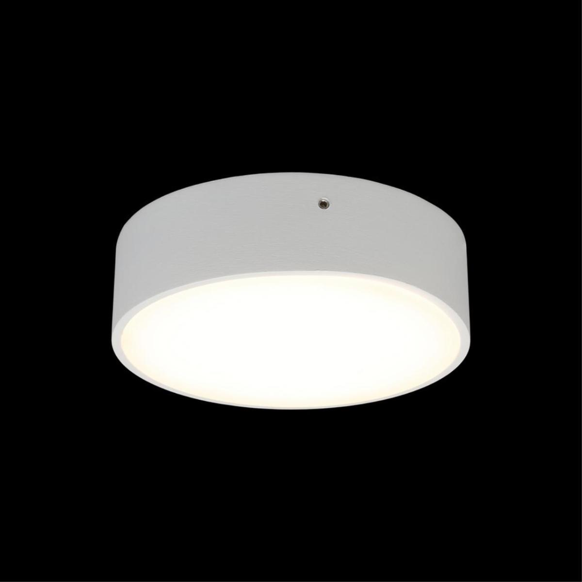 Потолочный светильник Aployt Evon APL.0113.09.12 в Санкт-Петербурге