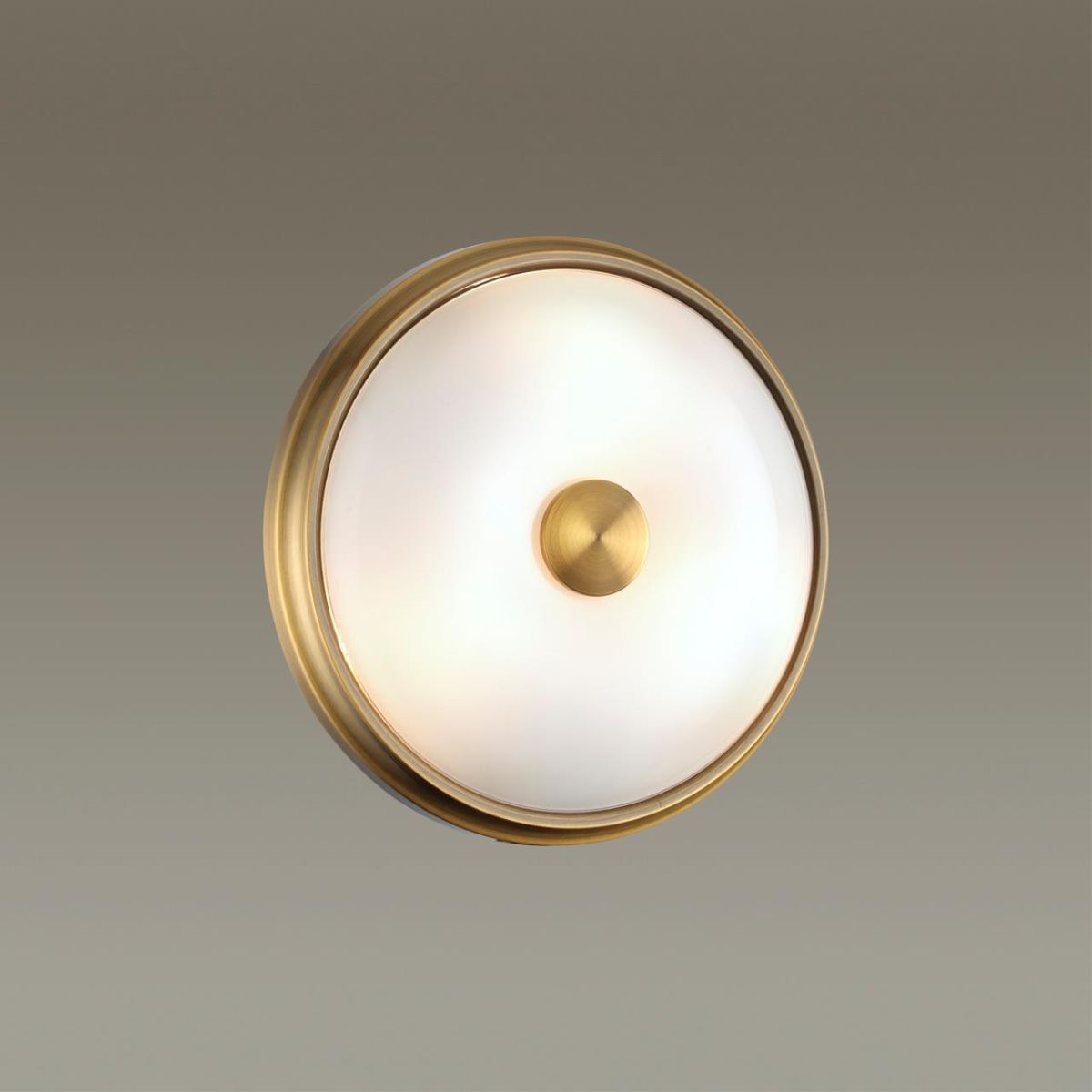 Настенно-потолочный светильник Odeon Light Pelow 4956/2 в #REGION_NAME_DECLINE_PP#