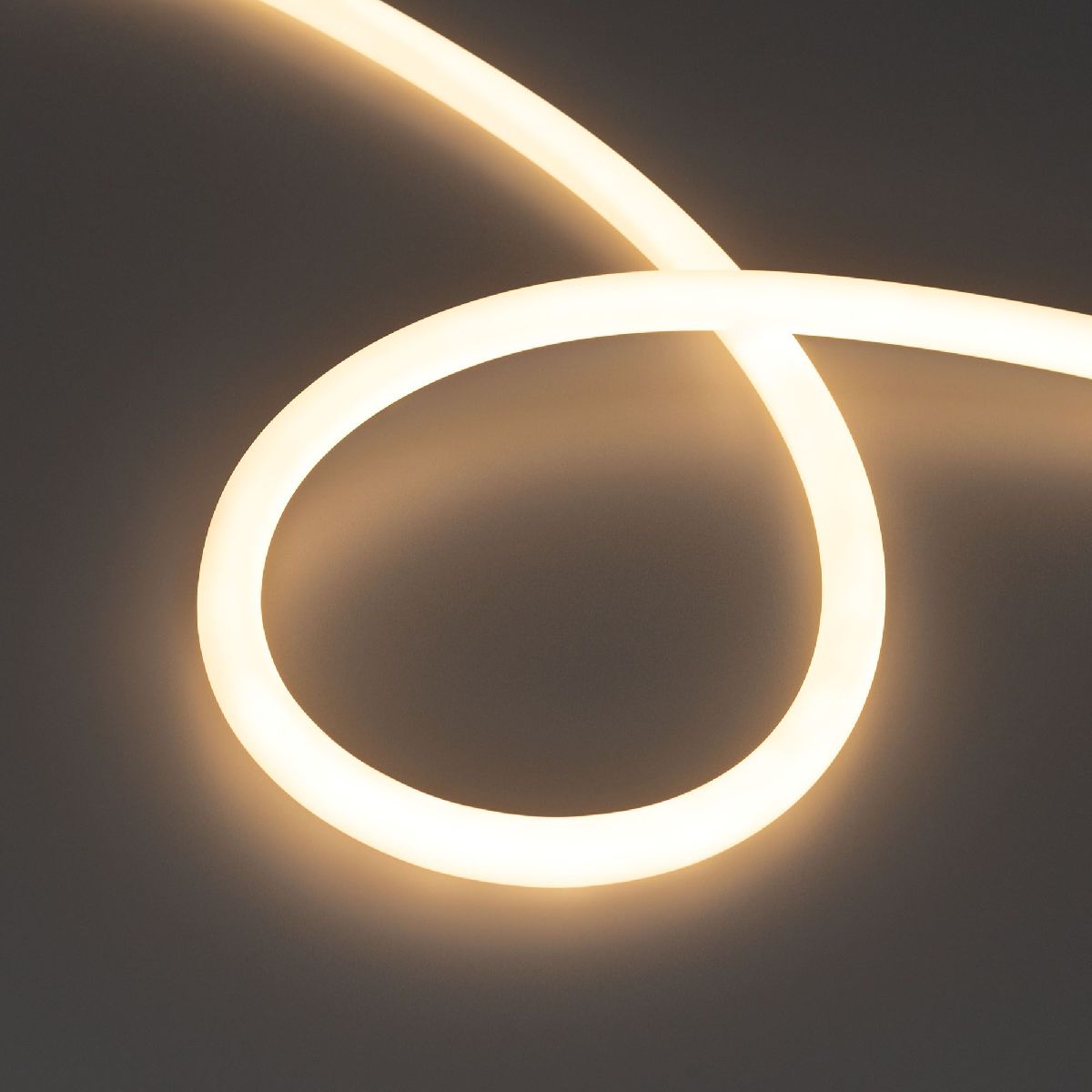 Светодиодная лента герметичная Arlight MOONLIGHT-TOP-S-M560-D13mm 24V Warm3000 (13 W/m, IP65, 5m, wire x1, трос) 043816 в #REGION_NAME_DECLINE_PP#