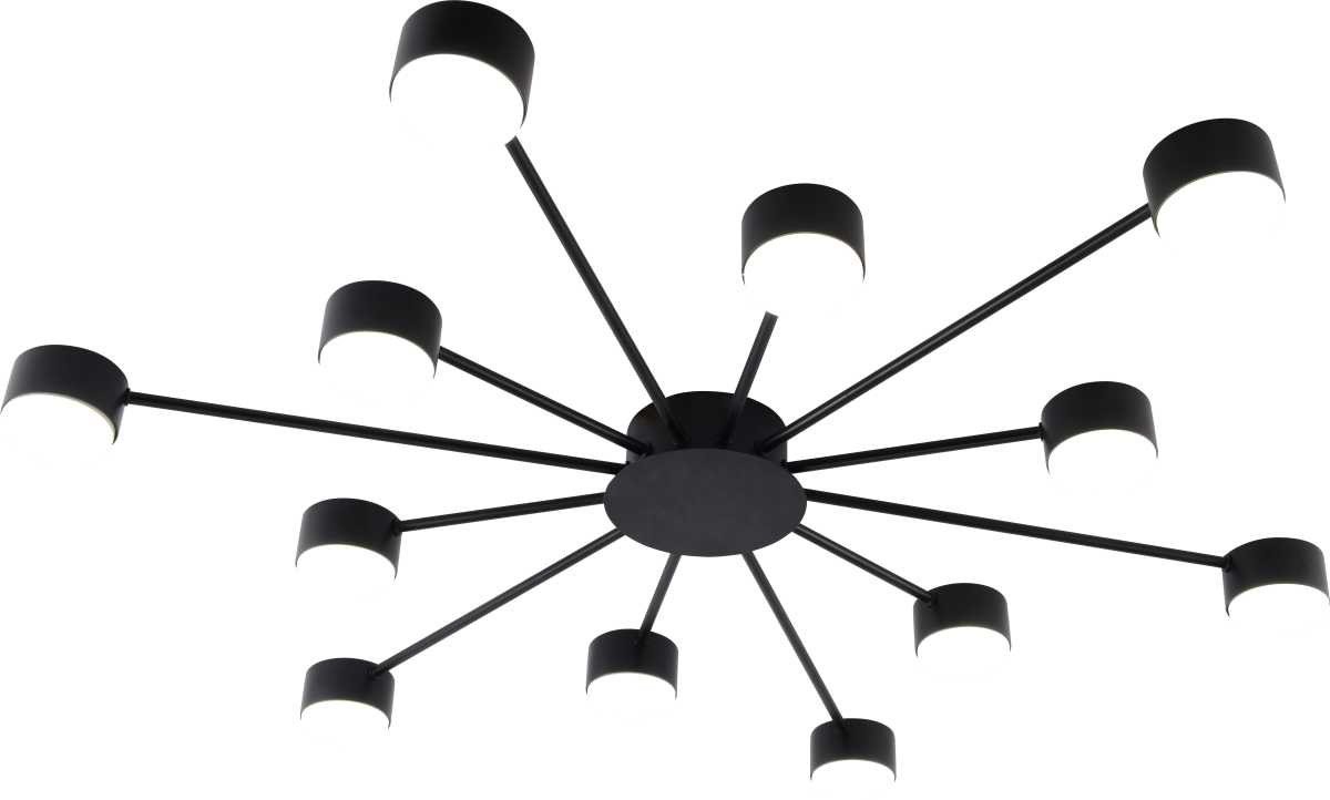 Потолочная люстра Rivoli Leona 3184-312 Б0070176 в #REGION_NAME_DECLINE_PP#