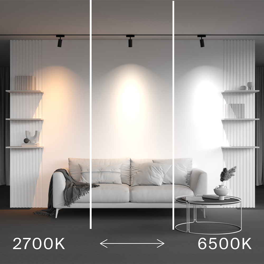Трековый магнитный светильник Maytoni Technical Focus Led Radity TR103-4-12WTW-M-B в Санкт-Петербурге