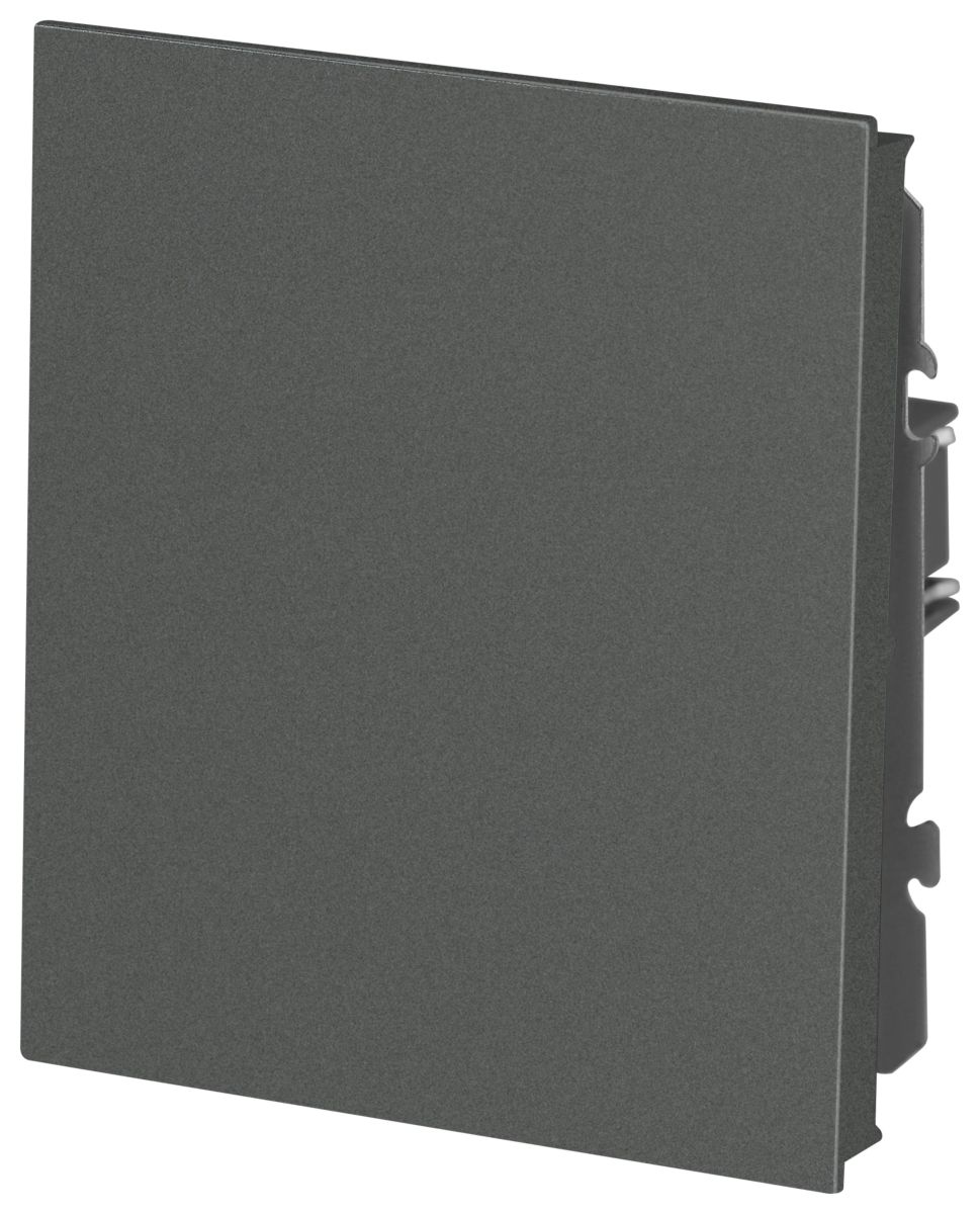 Кнопка Эра Arktik 16-1109-06 10АХ-250В графит Б0070399 в Санкт-Петербурге