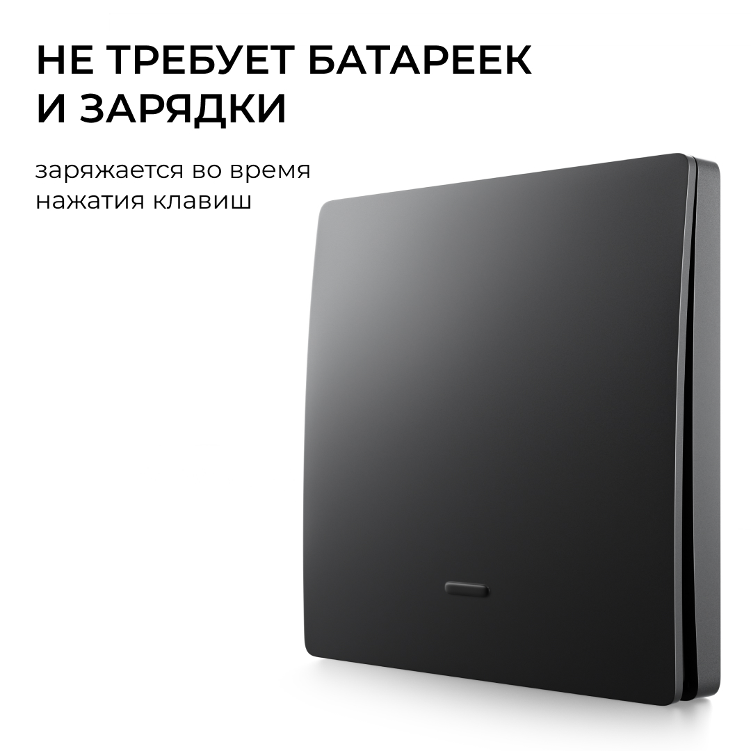 Выключатель кинетический 1кл., IP44, 2,4 ГГц, Smart, чер. Apeyron 04-81 в Санкт-Петербурге