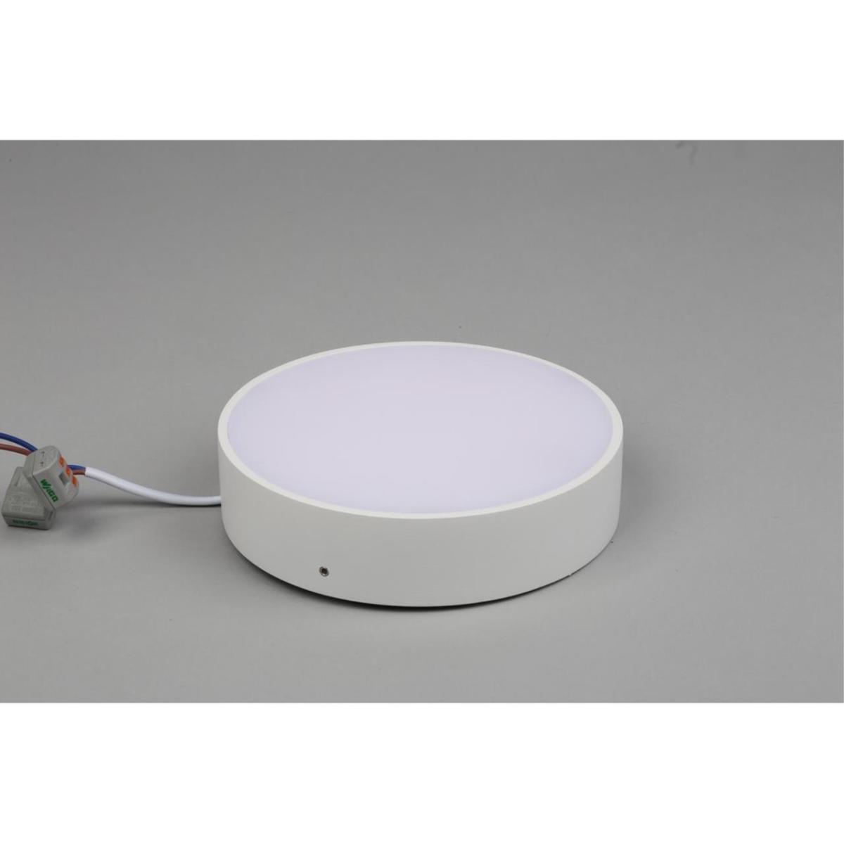 Потолочный светильник Aployt Evon APL.0114.09.18 в Санкт-Петербурге