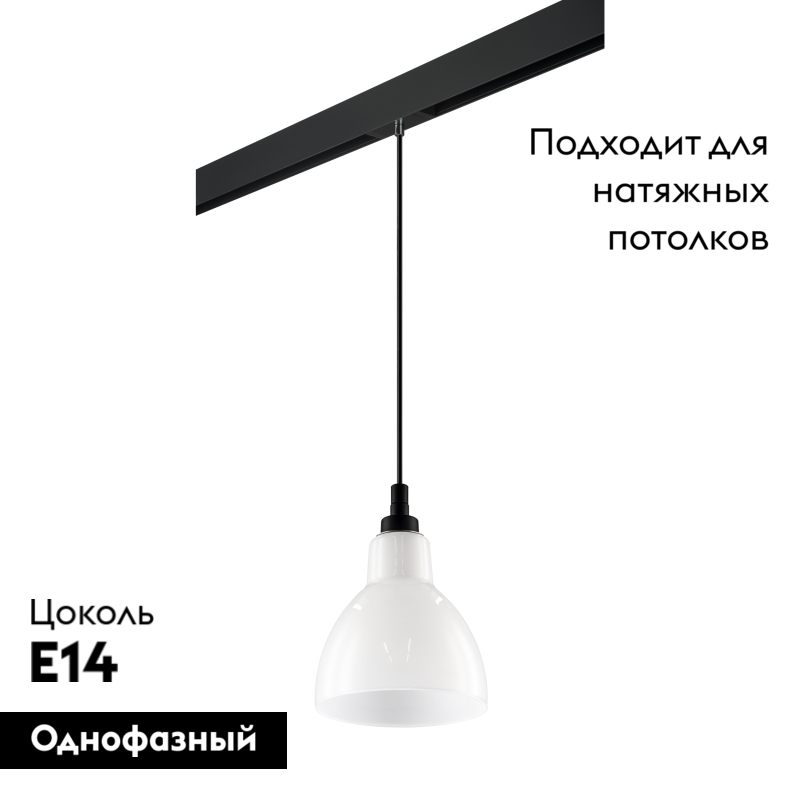 Трековый светильник Lightstar Loft PRO865017 (865017+595007) в Санкт-Петербурге