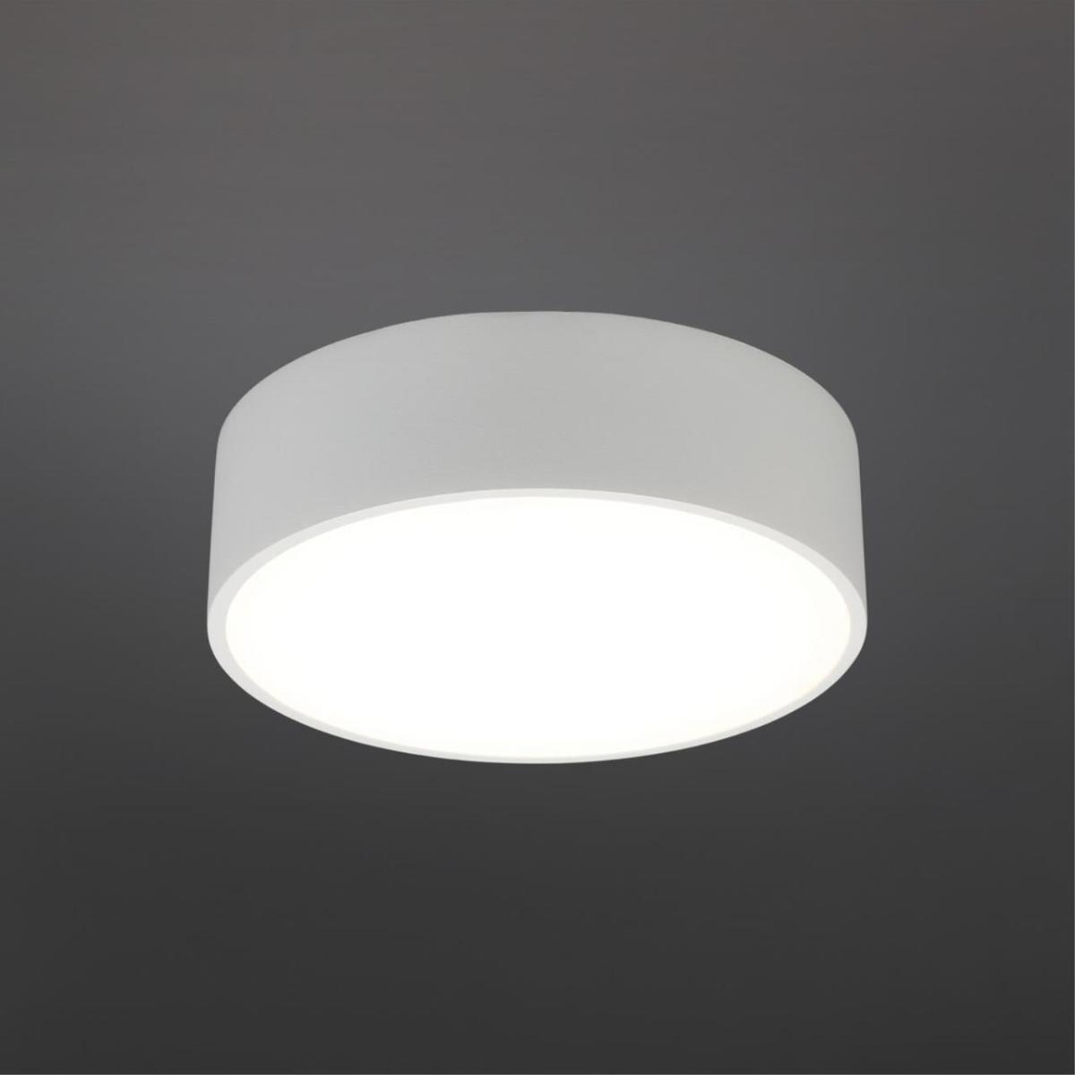 Потолочный светильник Aployt Evon APL.0114.09.12 в Санкт-Петербурге