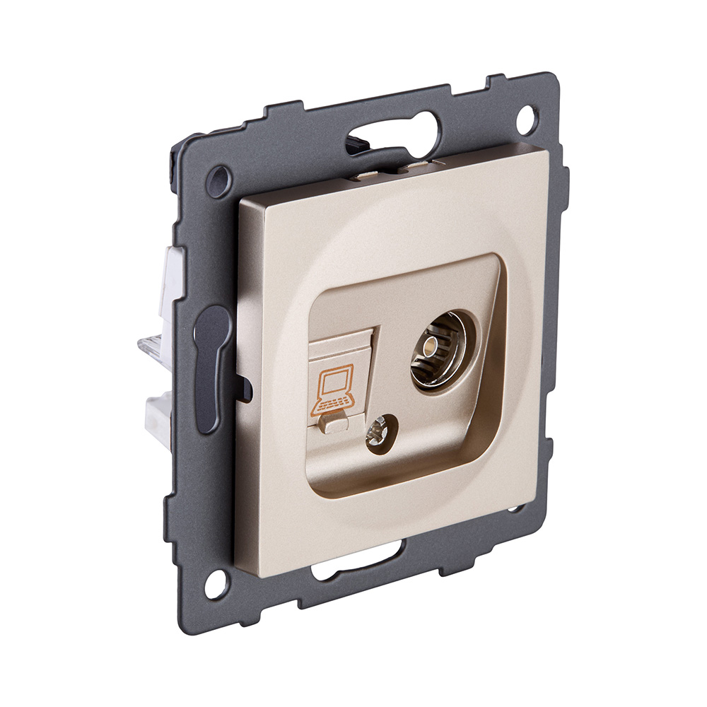 Розетка двойная TV (мама) + RJ45 Cat.6, золотой Kollinger REA-012GD для Aspekt, Eleganz, Reflex в #REGION_NAME_DECLINE_PP#