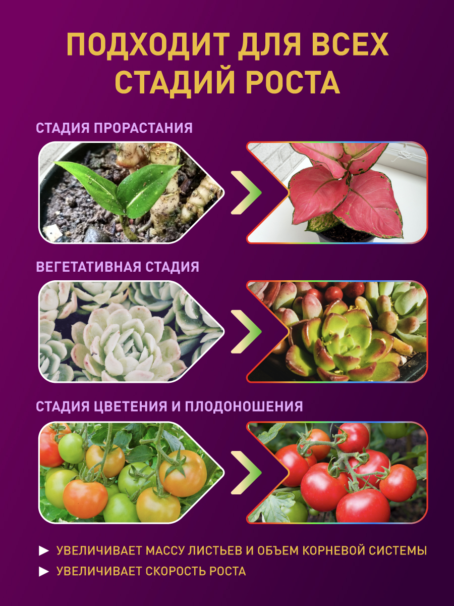 Светодиодная лента для растений Эра 18Вт 1400K 2м IP65 FITO-Strip Light-RB-2m красно-синего спектра Б0057282 в Санкт-Петербурге