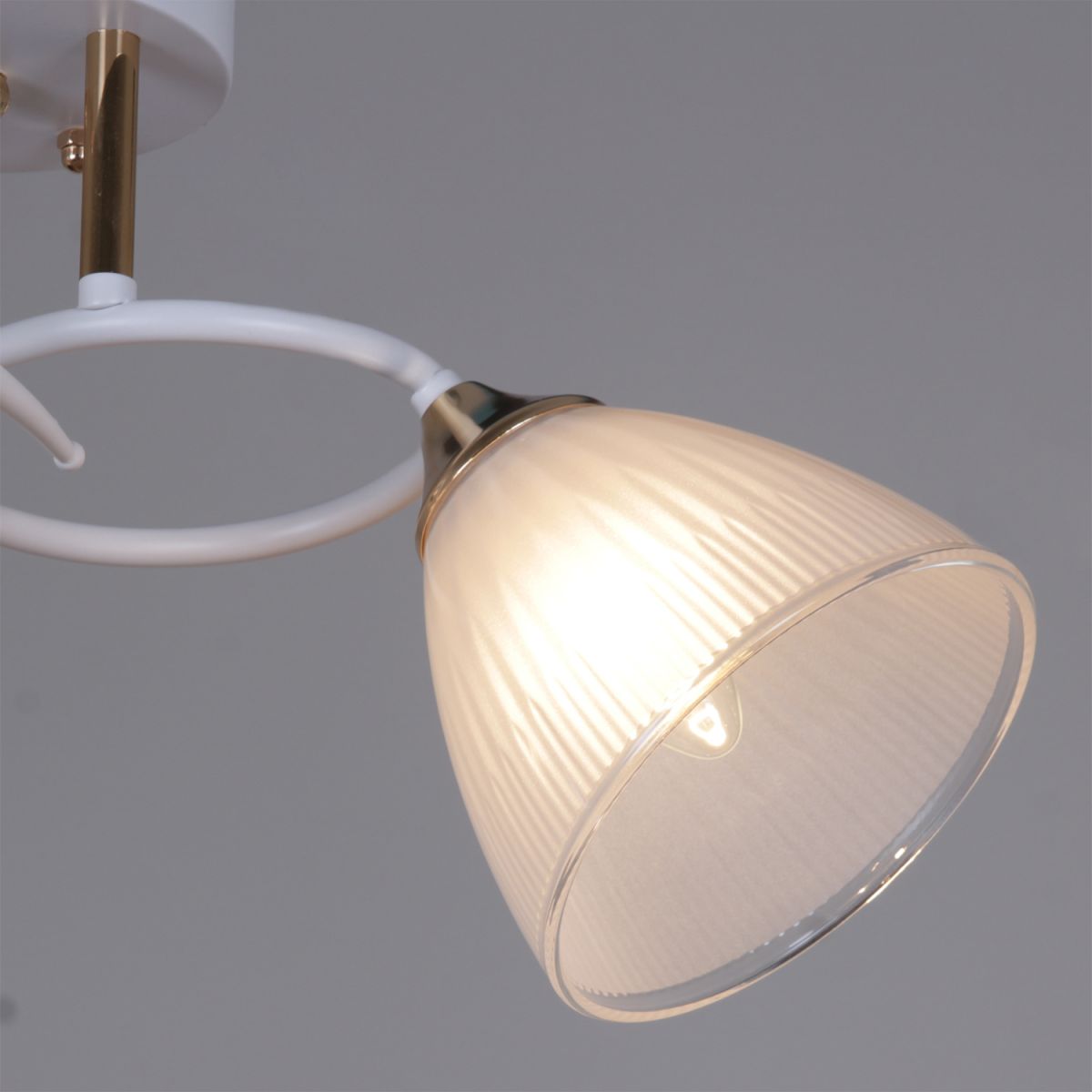 Потолочный светильник Reluce 04360-0.3-02 WH+FG в #REGION_NAME_DECLINE_PP#