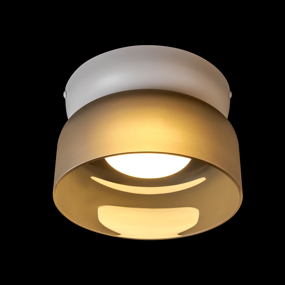 Потолочный светильник LOFT IT Totem 10466 Smoke matte в Санкт-Петербурге