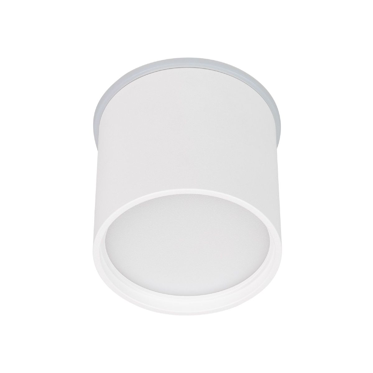 Накладной светильник Arlight SP-CYLINDO-R75-7W Day4000 (WH, 110 deg, 230V) 041246 в Санкт-Петербурге