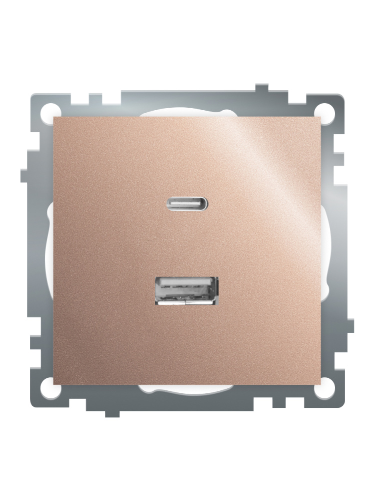 Розетка 2-местная USB + type C Stekker Катрин GLS10-7116-02 50056 в Санкт-Петербурге