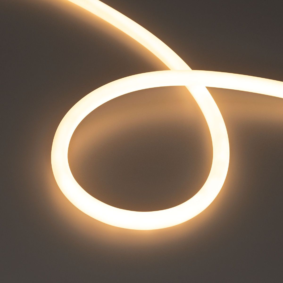 Светодиодная лента герметичная Arlight MOONLIGHT-TOP-S-M560-D13mm 48V Warm2700 (13 W/m, IP65, 10m, wire x1, трос) 043819 в Санкт-Петербурге