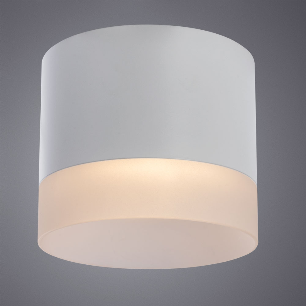 Потолочный светильник Arte Lamp Castor A5554PL-1WH в Санкт-Петербурге