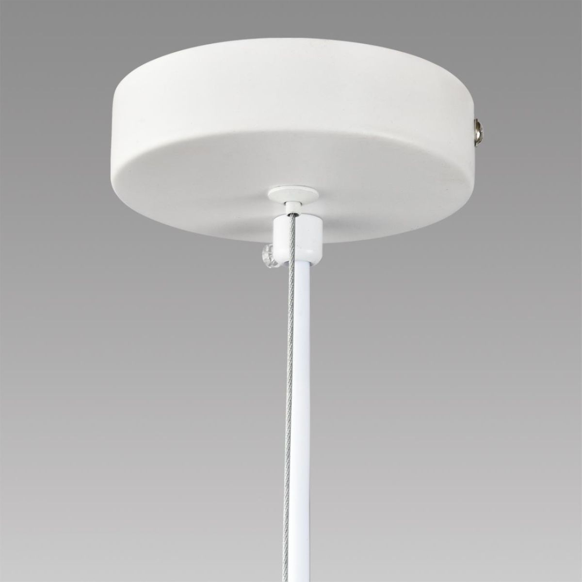 Подвесной светильник Lumion Comfi Torina 8265/5 в Санкт-Петербурге