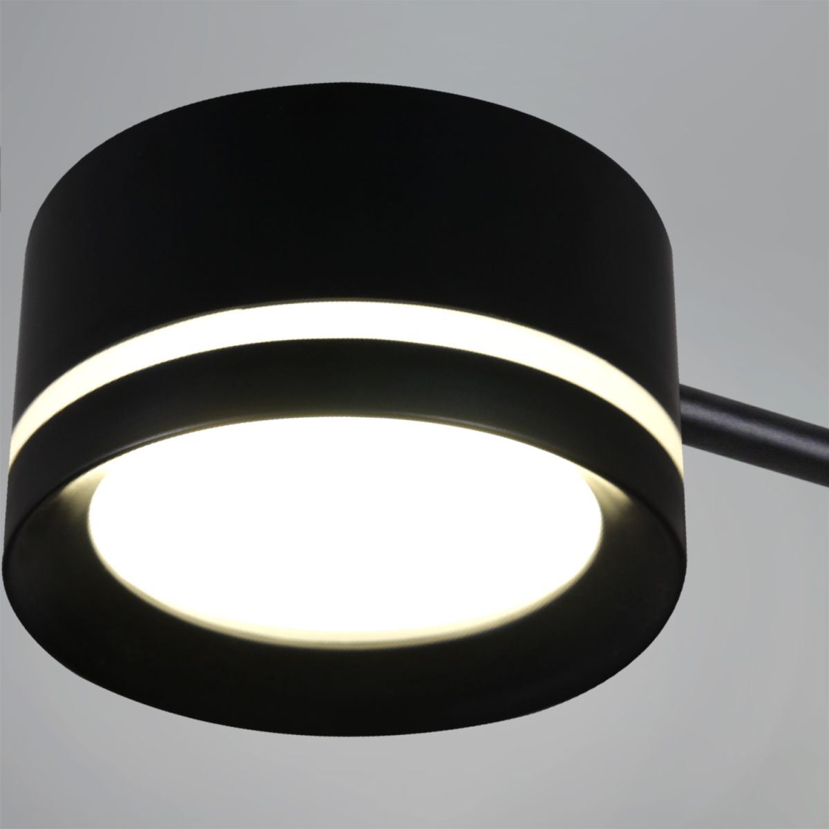 Потолочная люстра Reluce 20590-0.3-3+3+1 Black в Санкт-Петербурге