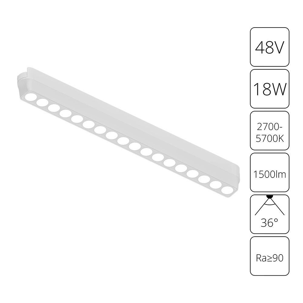 Трековый магнитный светильник Arte Lamp Rapid A2969PL-1WH в Санкт-Петербурге