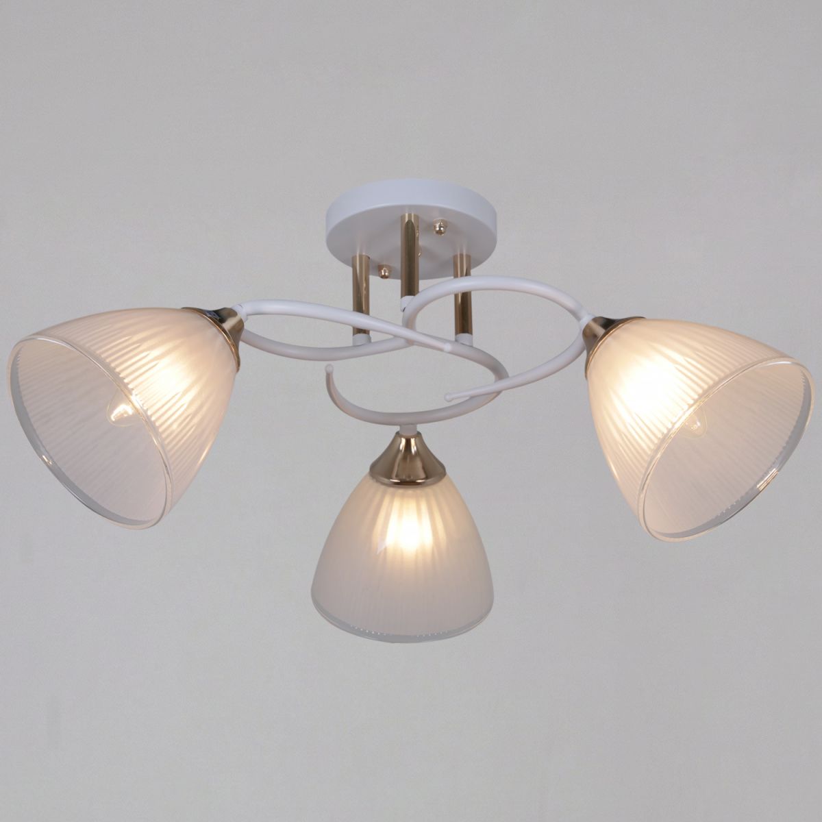 Потолочный светильник Reluce 04360-0.3-03 WH+FG в Санкт-Петербурге