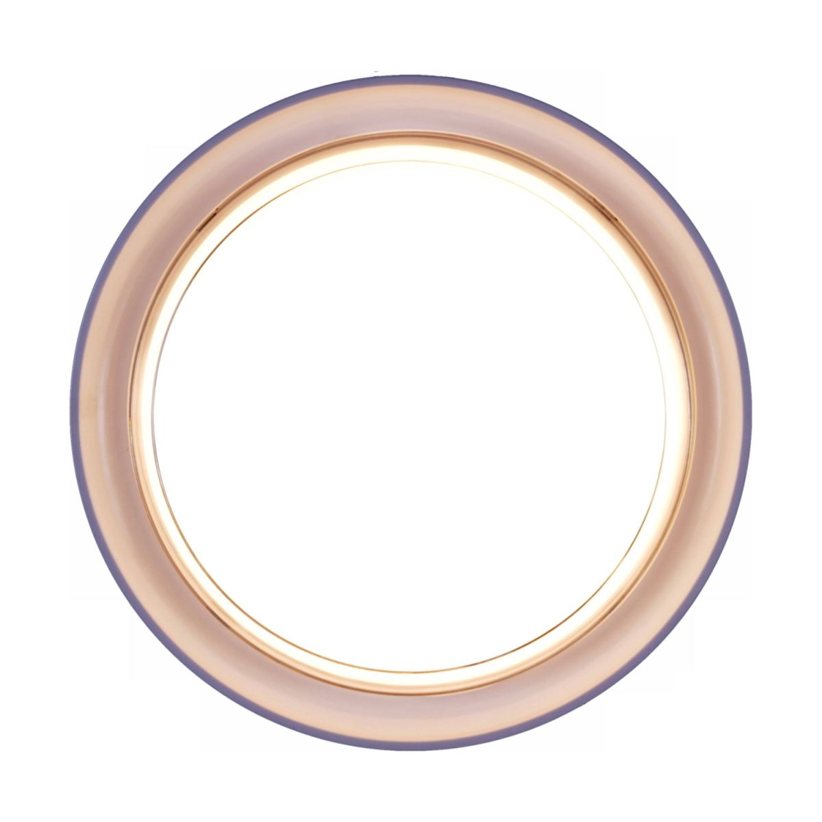 Настенно-потолочный светильник Reluce 81151-9.5-001QL WH в Санкт-Петербурге