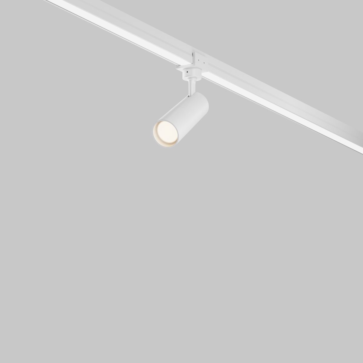 Уличный трековый светильник Maytoni Focus Led Elasity IP O-TR01-1-S-8WW3K в Санкт-Петербурге