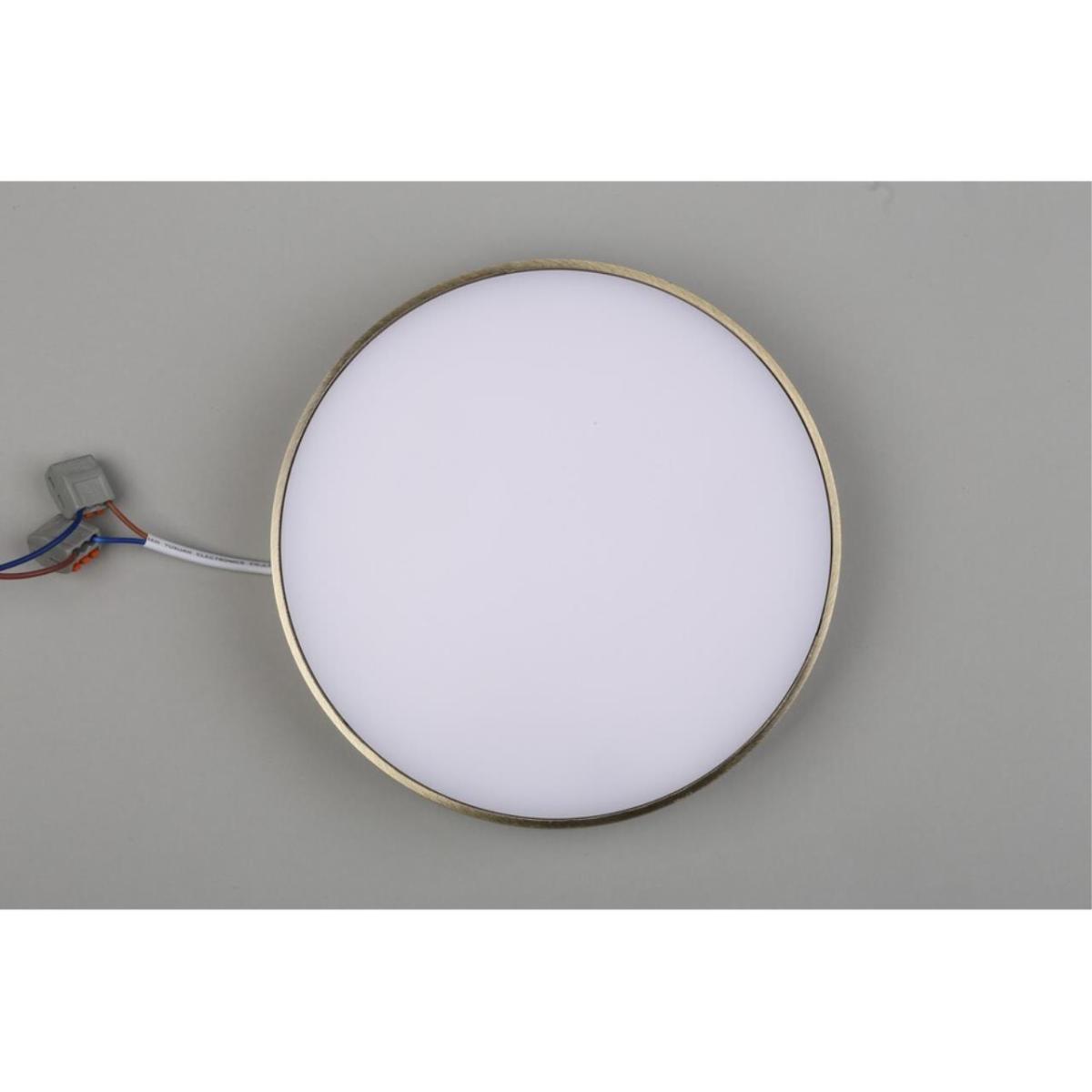 Потолочный светильник Aployt Evon APL.0114.29.24 в #REGION_NAME_DECLINE_PP#