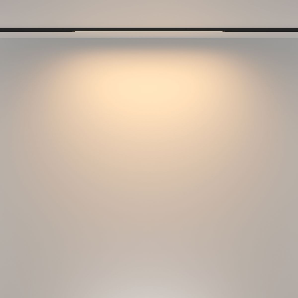 Трековый магнитный светильник Maytoni Basis TR173-1-16WTW-B в #REGION_NAME_DECLINE_PP#