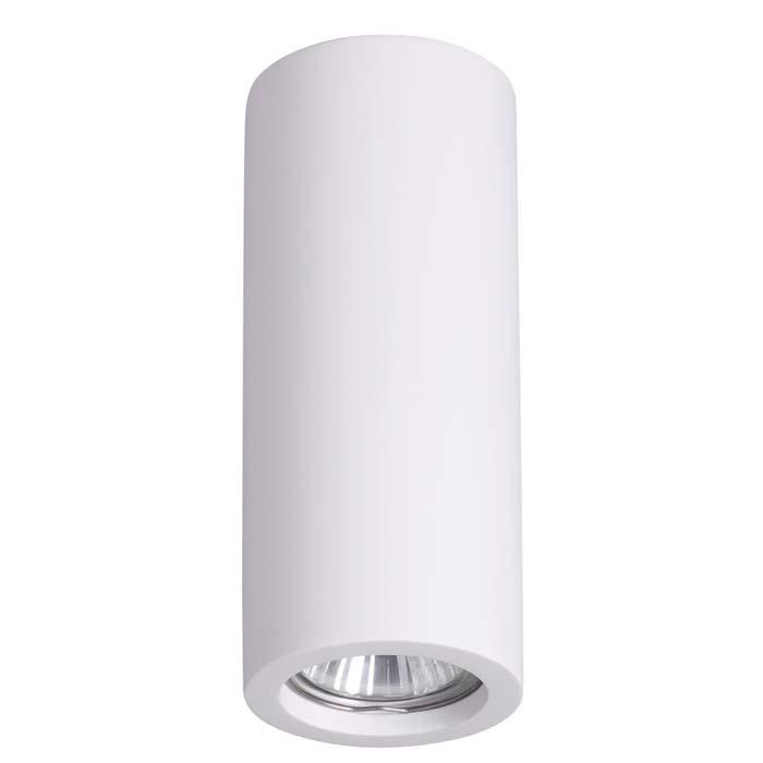 Потолочный светильник Odeon Light Gesso 3554/1C в Санкт-Петербурге