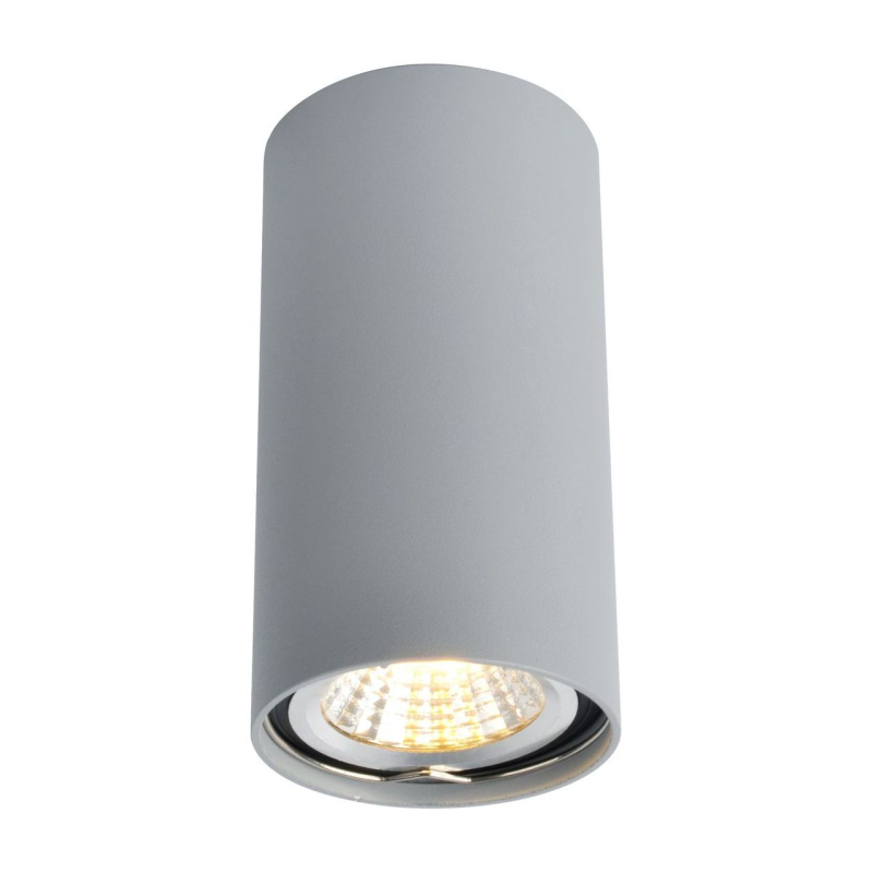 Потолочный светильник Arte Lamp A1516PL-1GY в Санкт-Петербурге