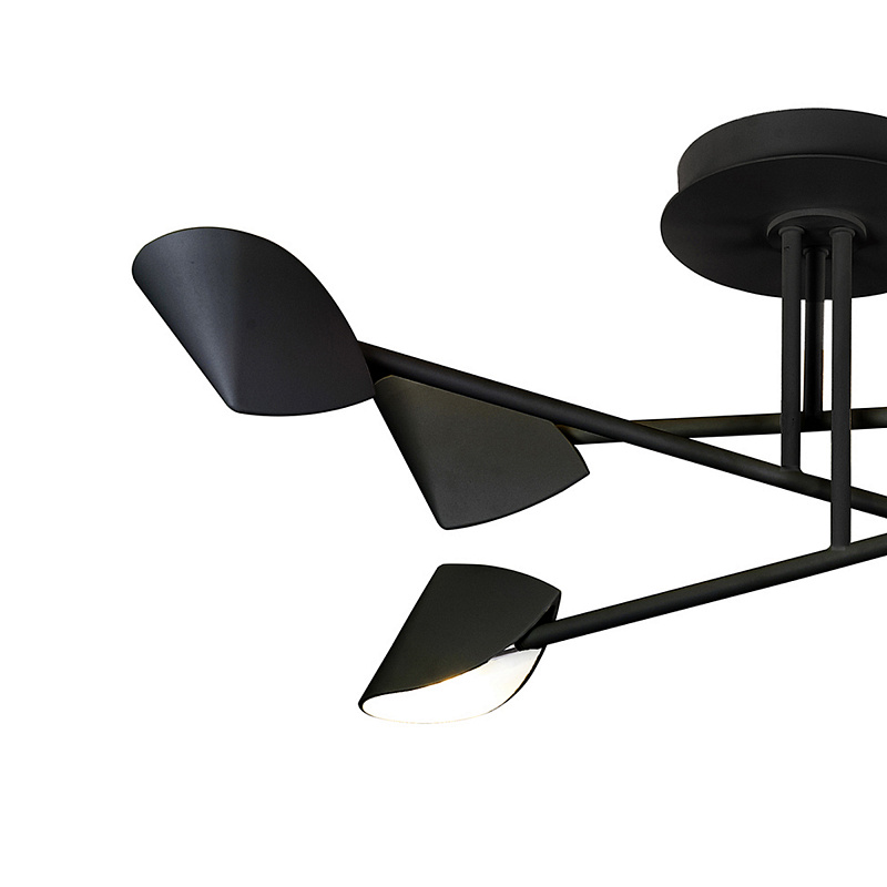 Потолочная люстра Mantra Capuccina 7581 в Санкт-Петербурге