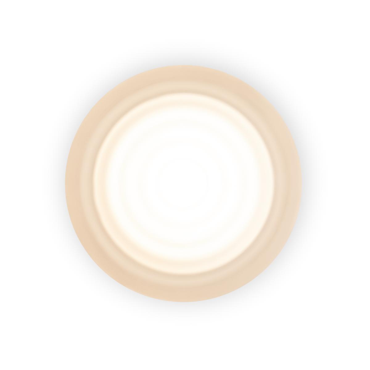 Настенный светильник Freya Retro FR5603WL-L8W1 в Санкт-Петербурге