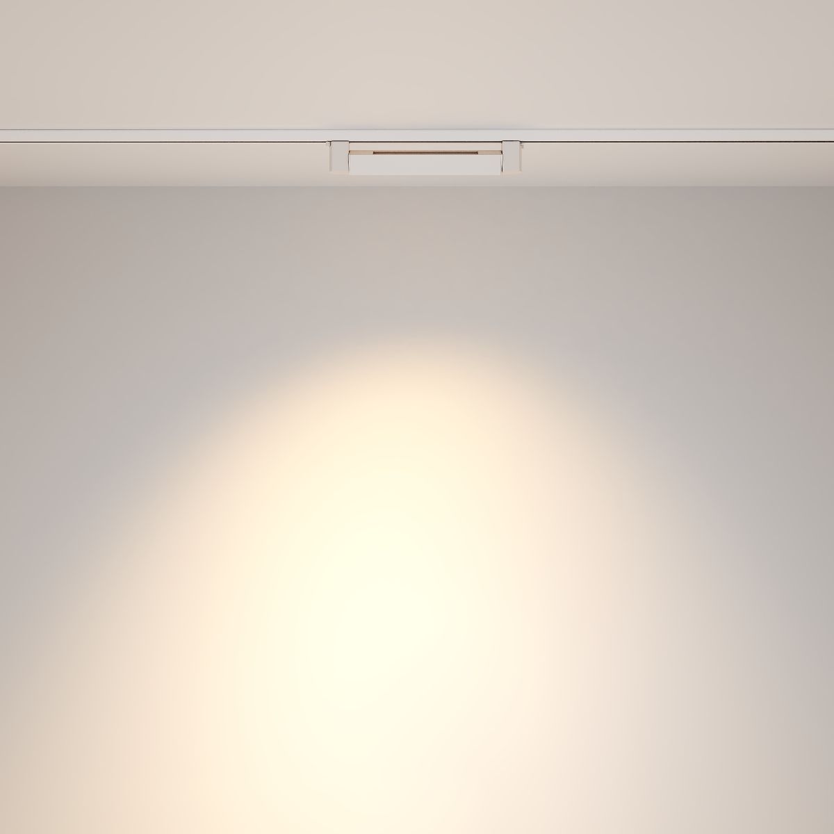 Трековый однофазный светильник Maytoni Points Rot TR010-1-10W4K-M-W в Санкт-Петербурге