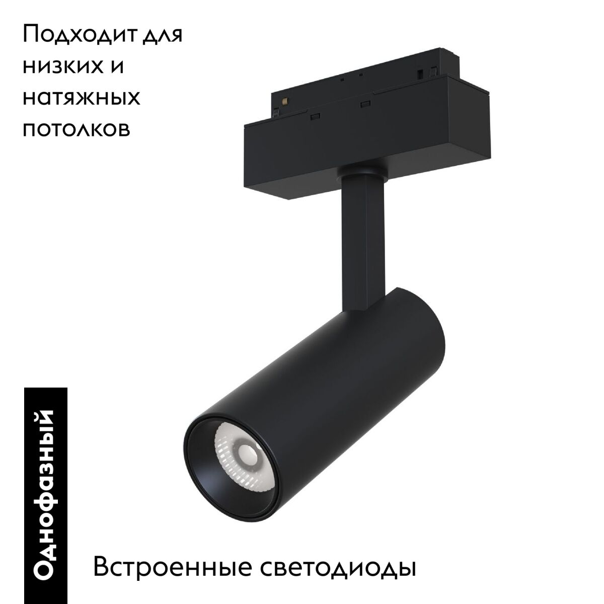 Трековый светильник Maytoni Track lamps TR019-2-10W3K-B в Санкт-Петербурге
