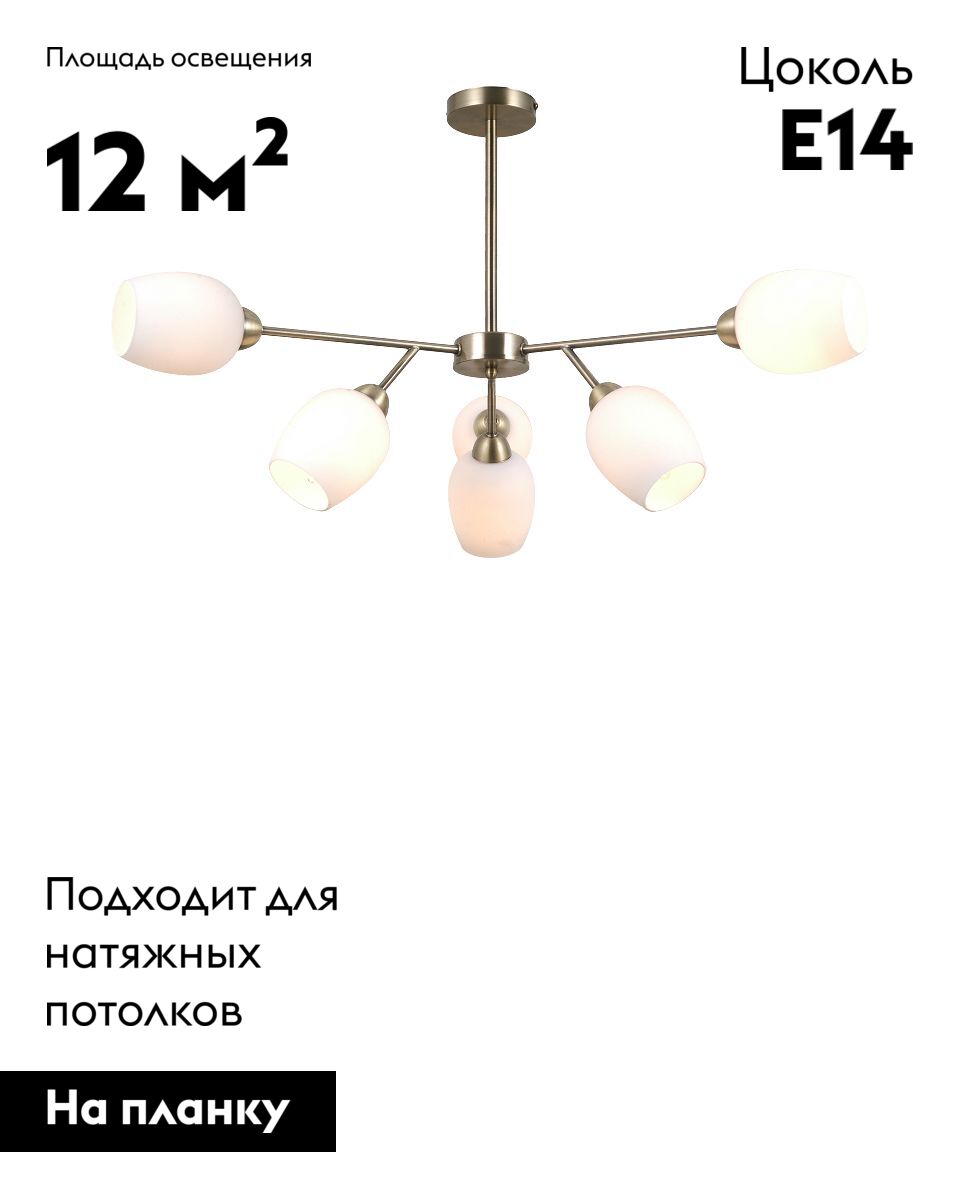 Люстра на штанге Moderli Cassy V10820-6C в Санкт-Петербурге