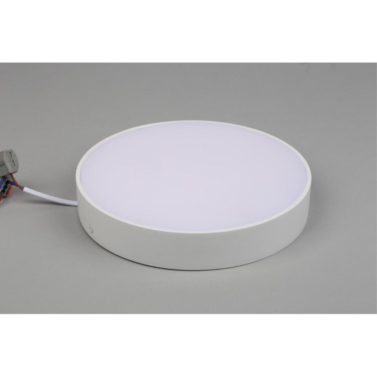 Потолочный светильник Aployt Evon APL.0113.09.24 в Санкт-Петербурге