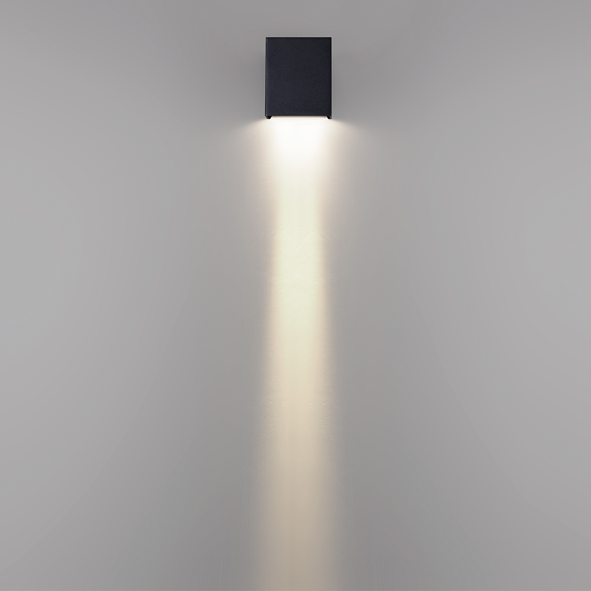 Уличный настенный светильник Odeon Light Nature Arrow 7188/5WLP в Санкт-Петербурге