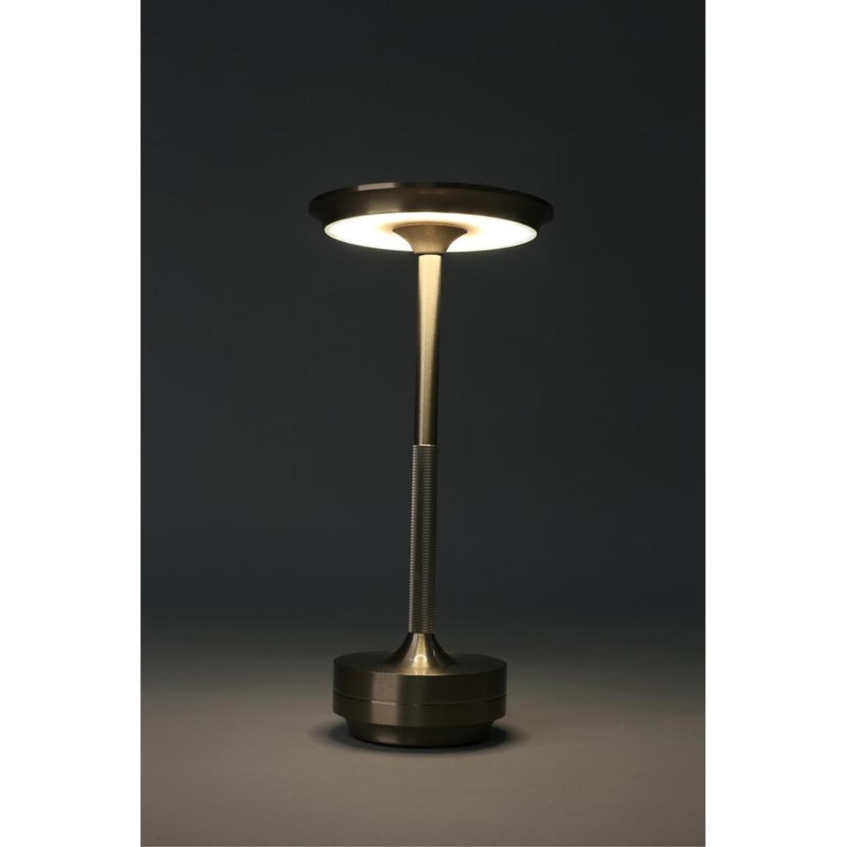 Настольная лампа Omnilux OML-40404-01 в Санкт-Петербурге