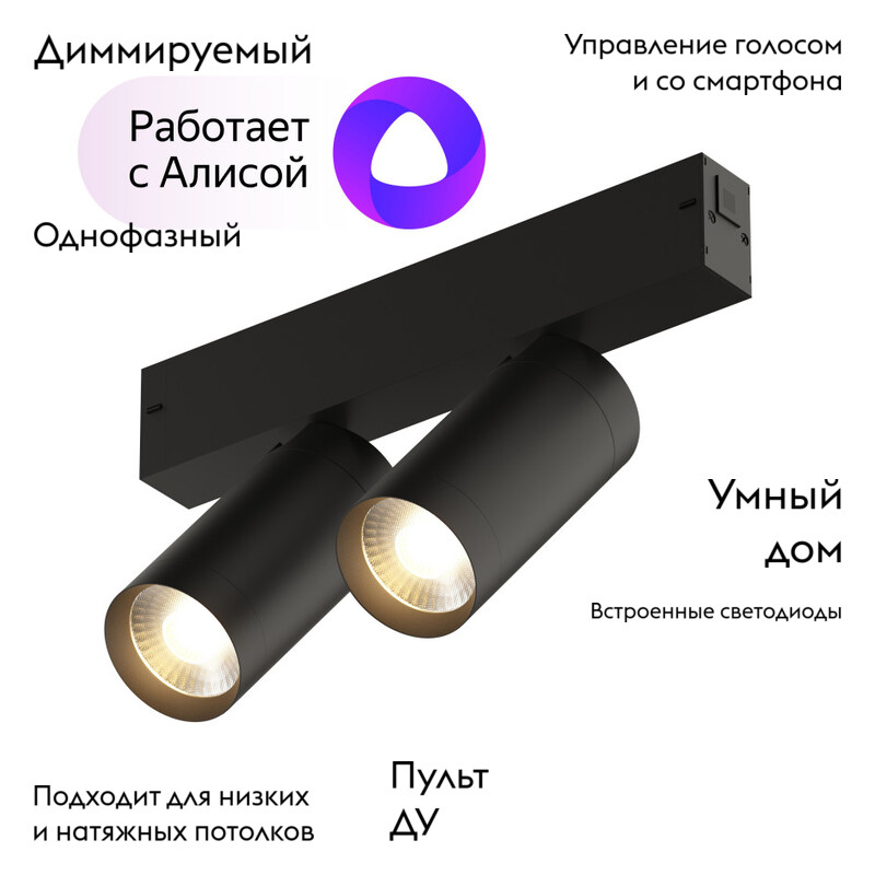 Трековый светильник Denkirs Smart DK8012-BK в Санкт-Петербурге