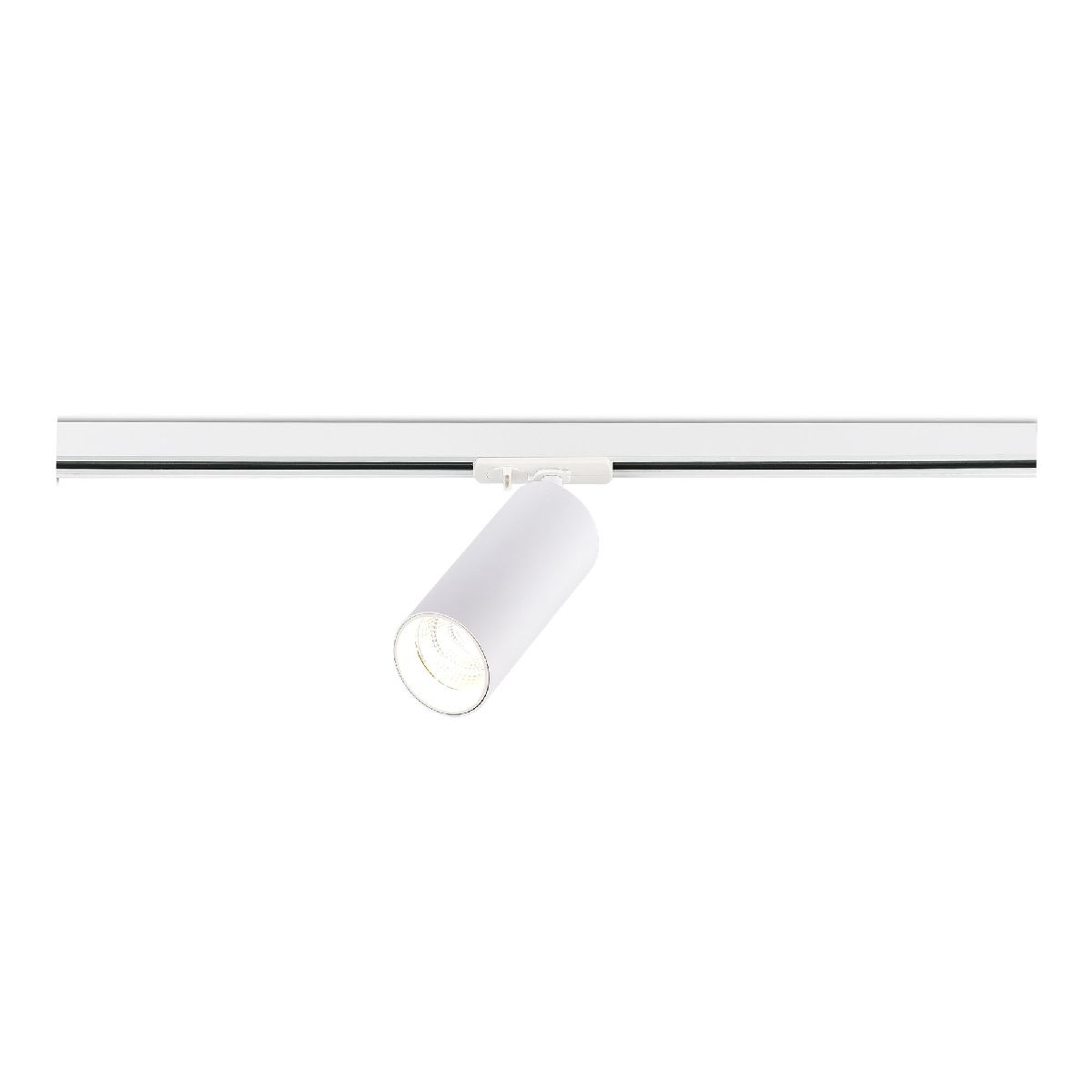 Трековый однофазный светильник ST Luce Base ST382.546.20.TRIAC в Санкт-Петербурге