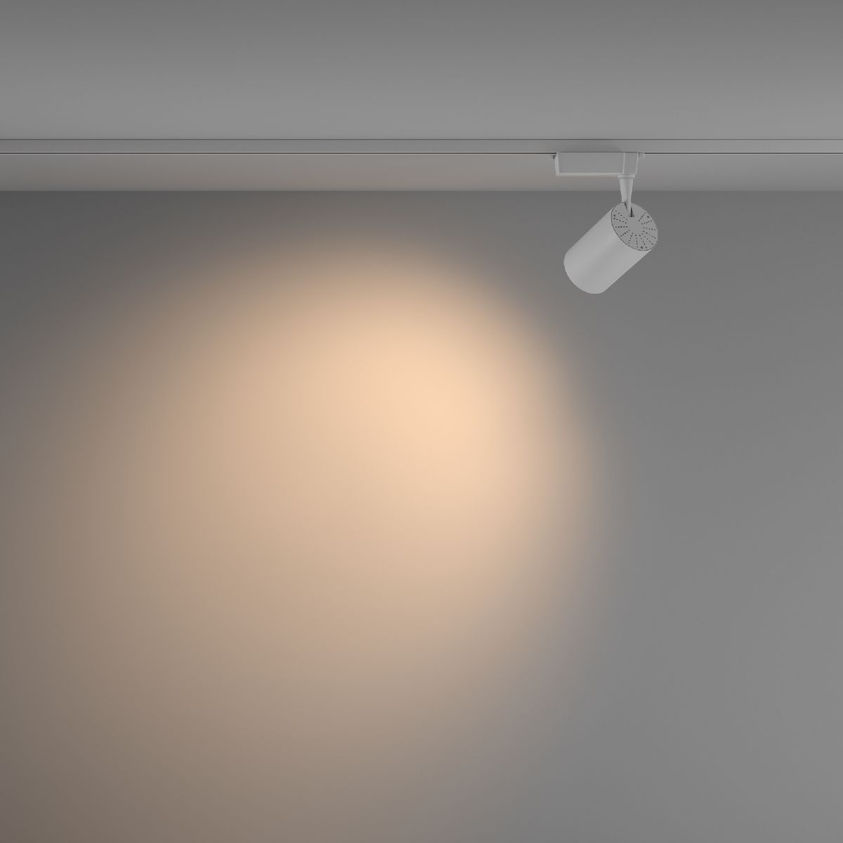 Трековый светильник Maytoni Technical Vuoro TR003-1-26W3K-W-W в #REGION_NAME_DECLINE_PP#
