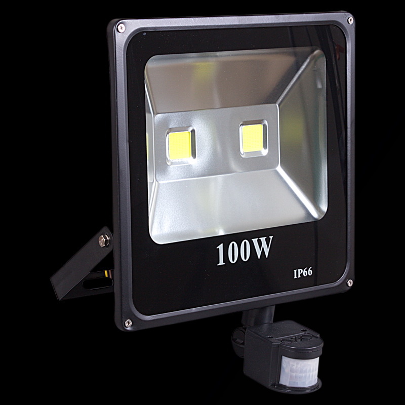 Прожектор Reluce 54100-0.2-001QY LED100W+SENSOR BK в Санкт-Петербурге
